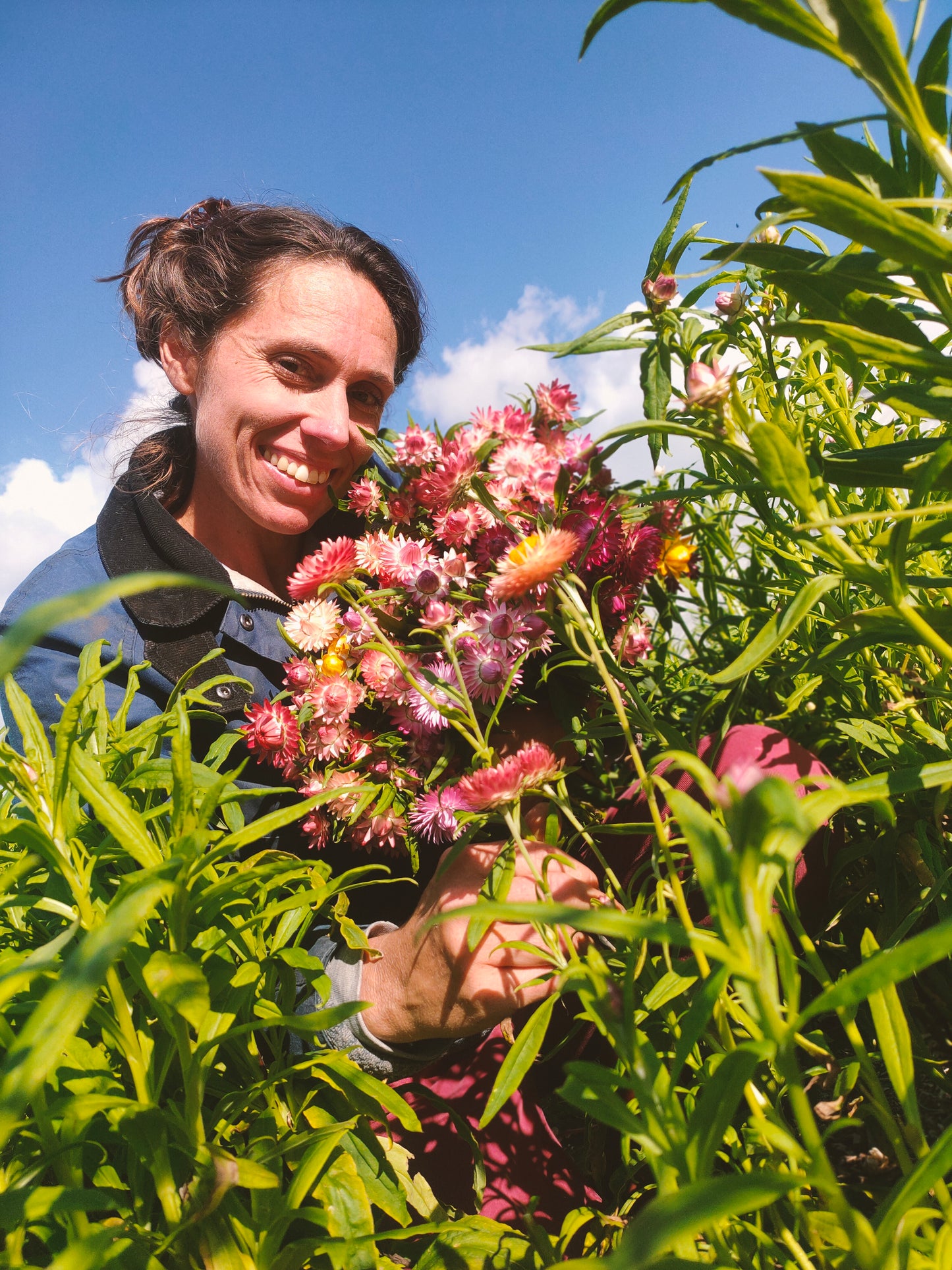 Flower Garlands Pretty Pinks