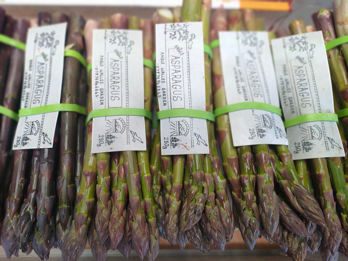 Asparagus
