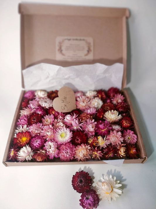 Box of pink dried flower heads