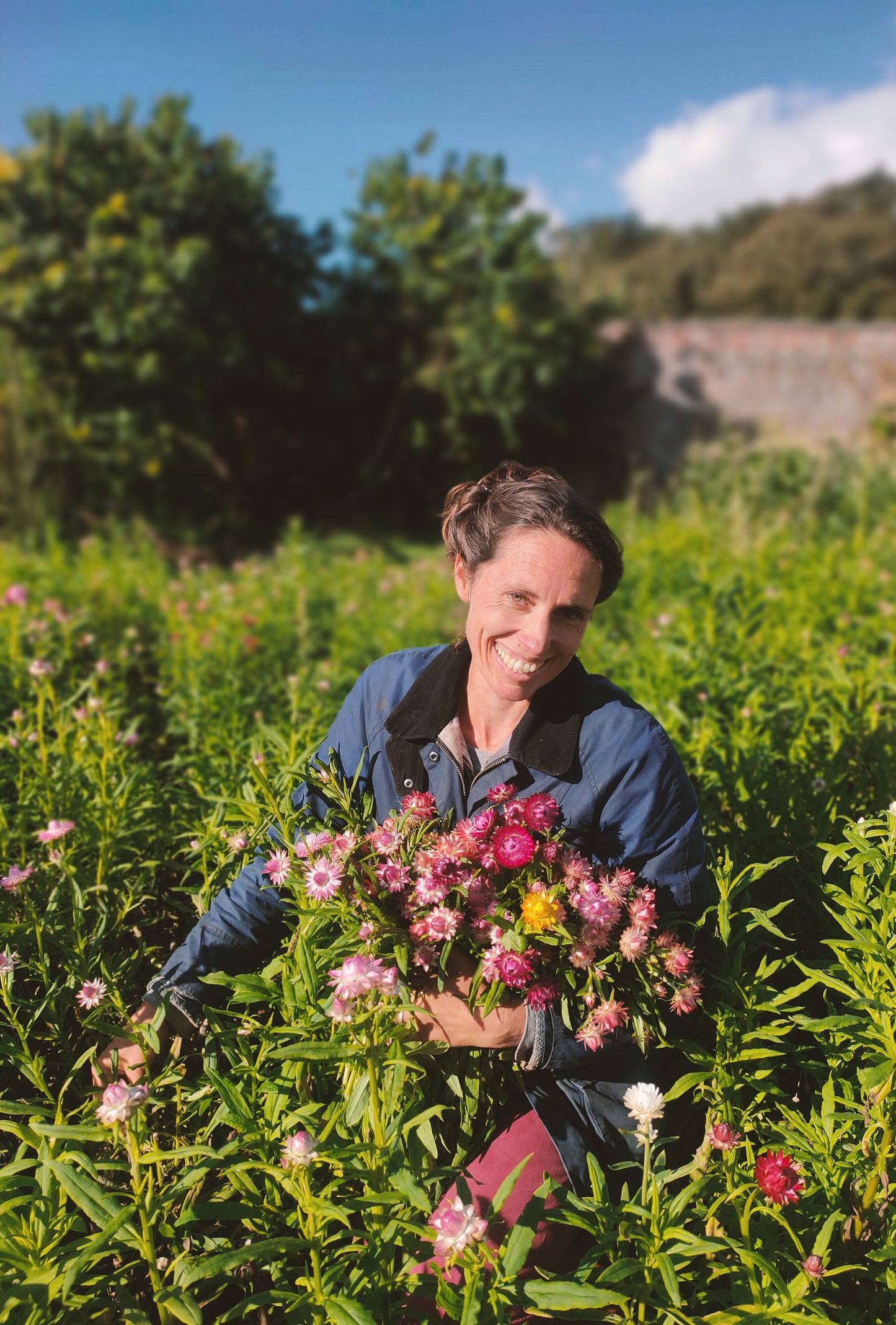 Bunch of flowers - Seashell