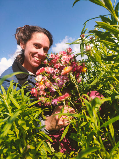Bunch of flowers - Pink Petals