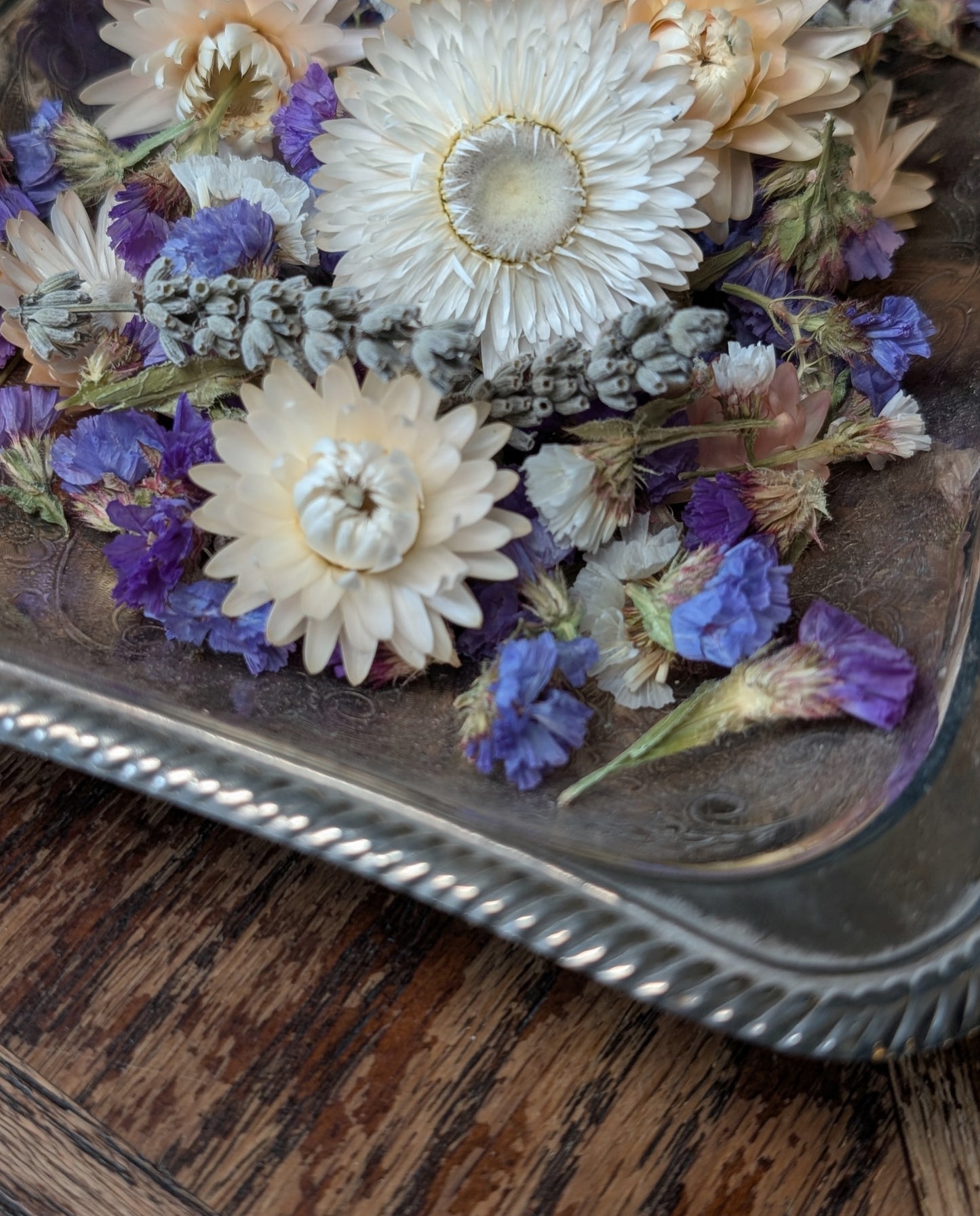 Fragrance Flowers ~ Lavender Blue