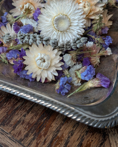 Fragrance Flowers ~ Lavender Blue