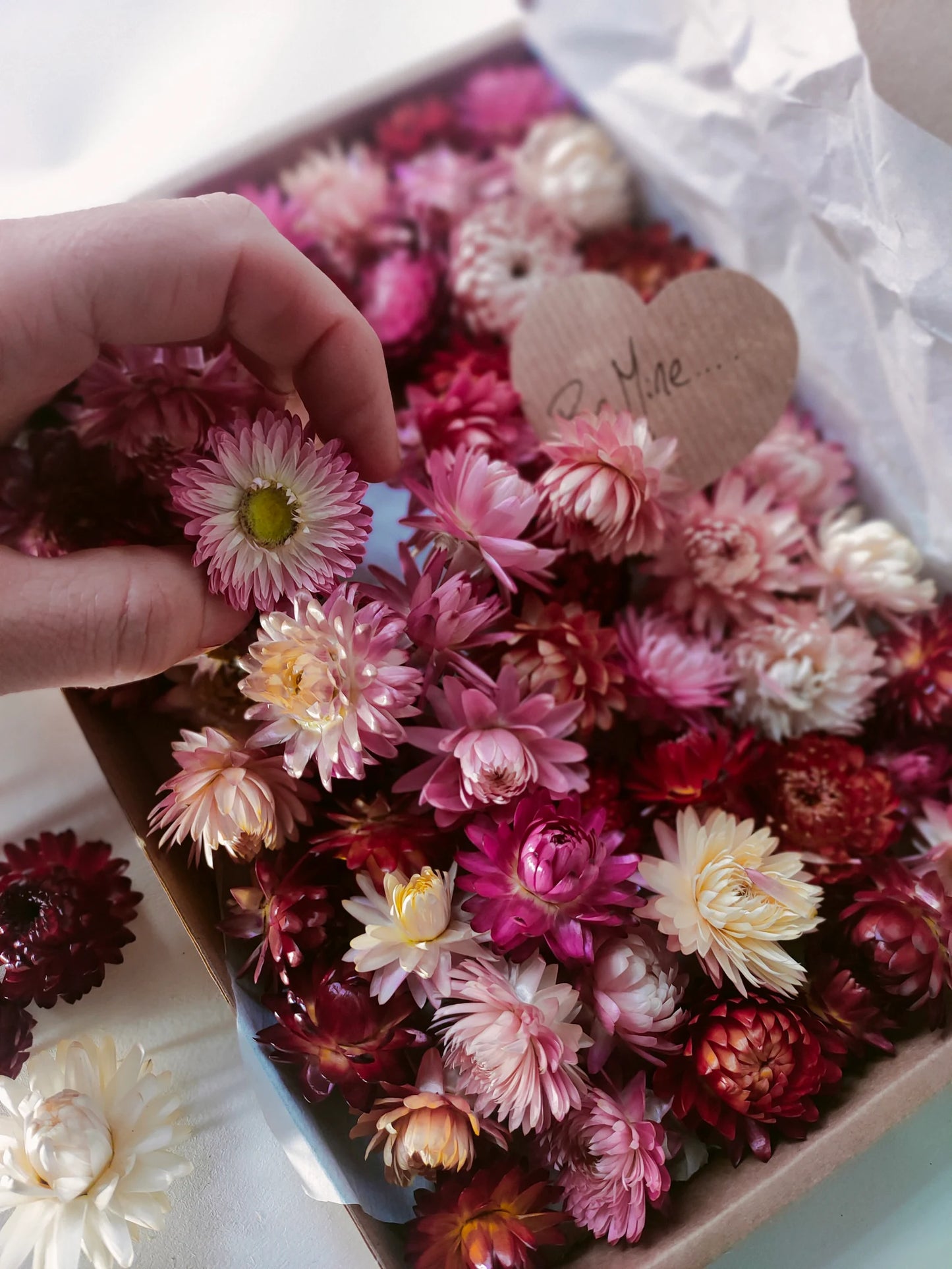 Box of pink dried flower heads