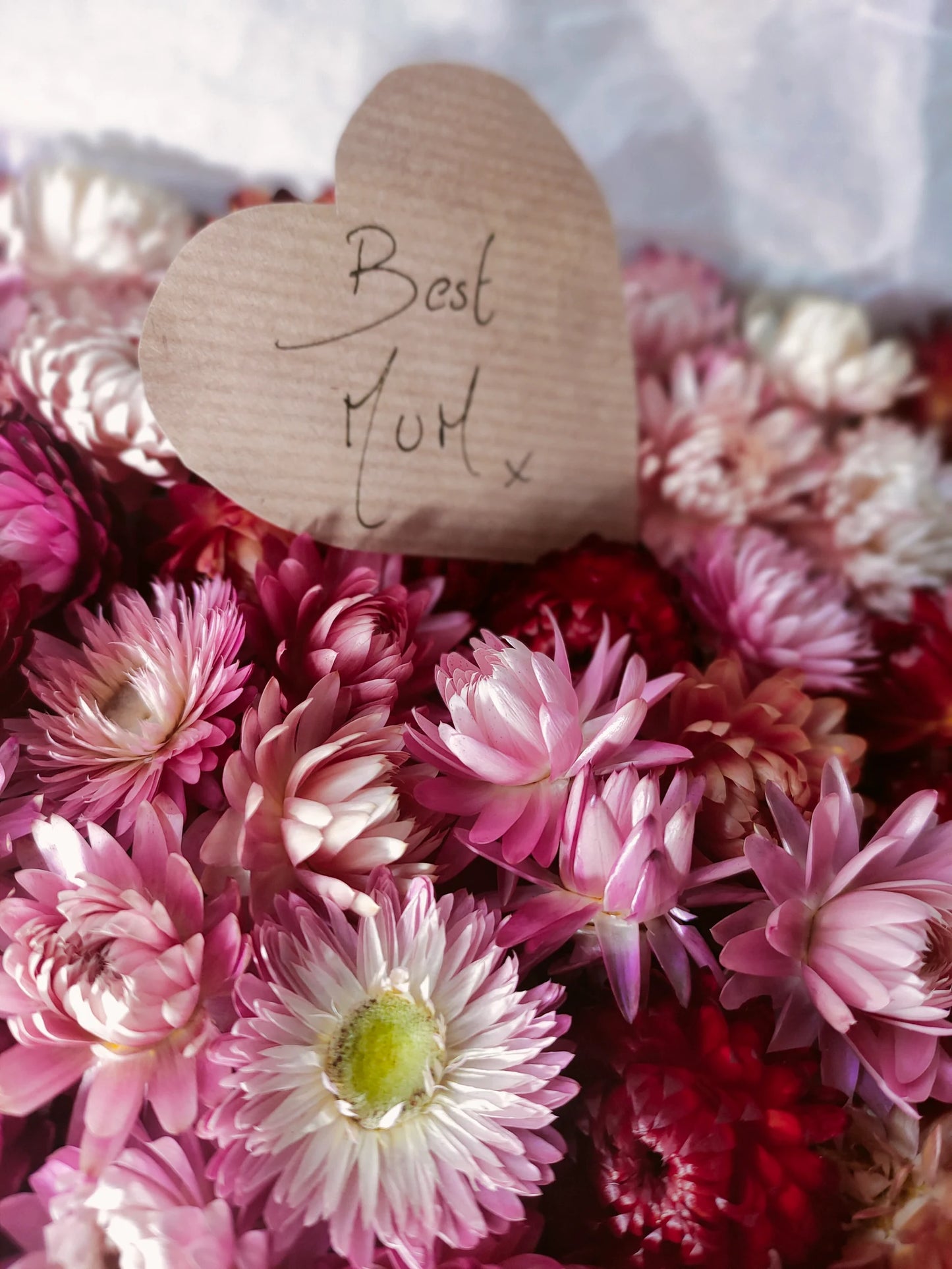 Box of pink dried flower heads
