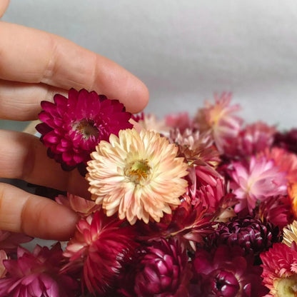 Box of mixed flower heads