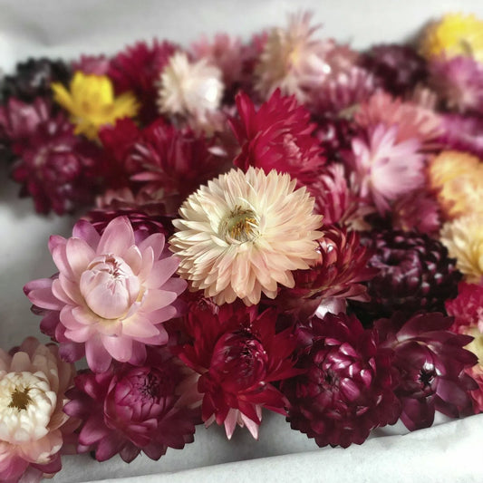 Box of mixed flower heads