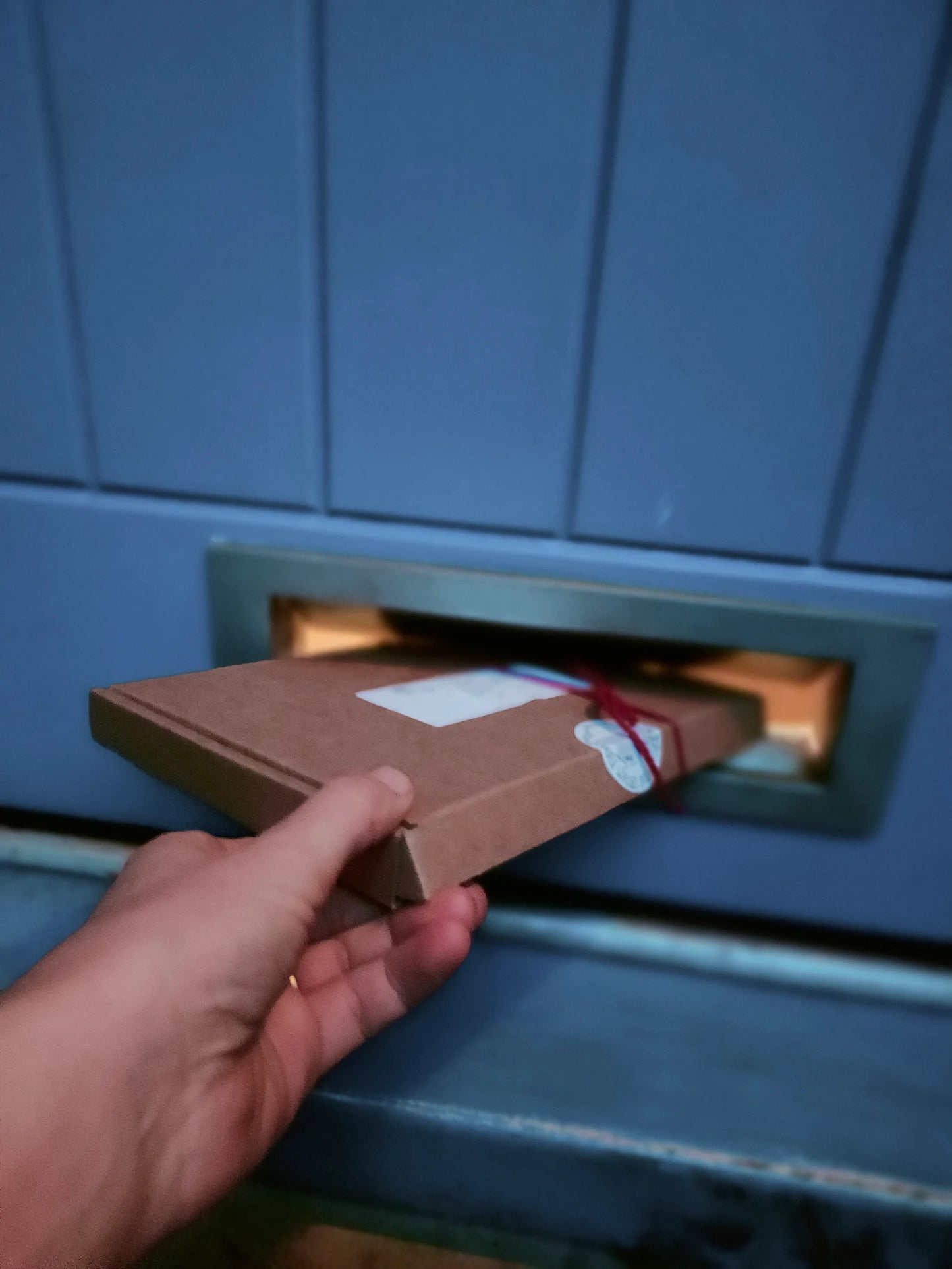 Box of pink dried flower heads