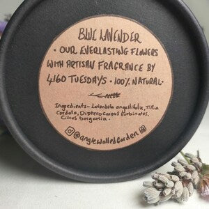 Fragrance Flowers ~ Lavender Blue